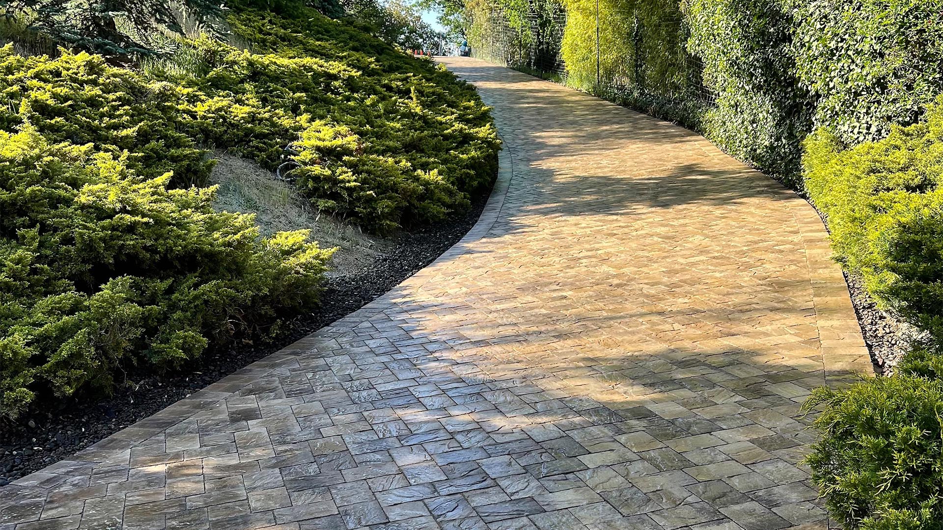 long paver driveway lined with bushes and trees